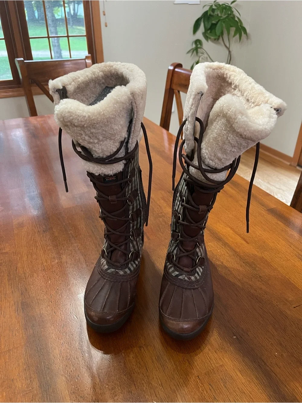 UGG Cream Shearling-Lined Boot Interior